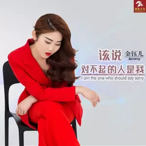 该说对不起的人是我-金钰儿