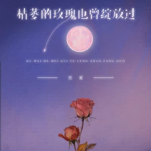 枯萎的玫瑰也曾绽放过(DJEva版)
