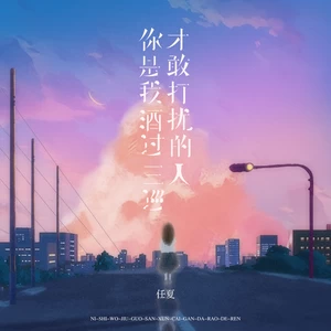 你是我酒过三巡才敢打扰的人(伴奏)-任夏