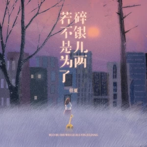 若不是为了碎银几两(DJEva版伴奏)