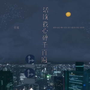 活该我心碎千百遍(伴奏)-任夏