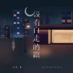 没有白走的路-任夏