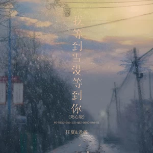 我等到雪没等到你(死心版)
