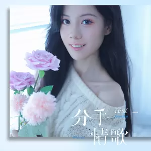 分手情歌(伴奏)-任夏