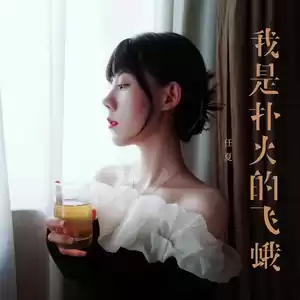 我是扑火的飞蛾(伴奏)