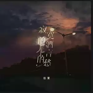 寂寞的酒无言的愁