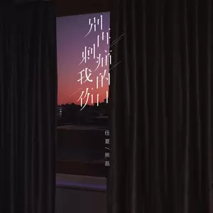 别再刺痛我的伤口(DJ Eva版)