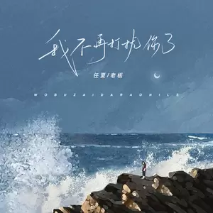 我不再打扰你了(DJEva版伴奏)