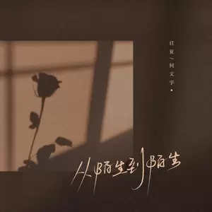 从陌生到陌生(DJ版)