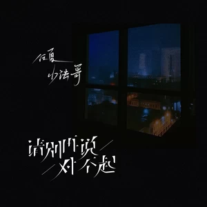 请别再说对不起(伴奏)