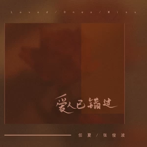 爱人已错过(伴奏)