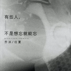 有些人，不是想忘就能忘(伴奏)