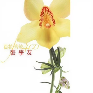 Smile Again玛莉亚