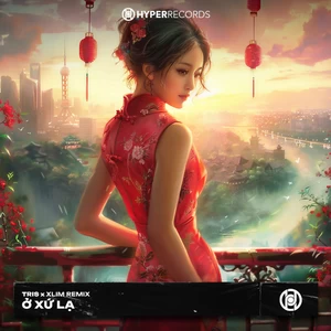 在他乡(Remix版伴奏)