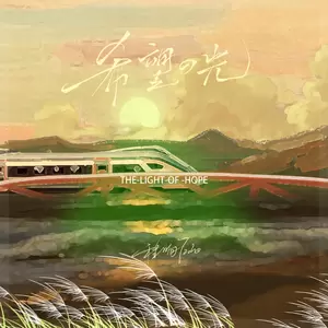 希望的光(DJ默涵版)