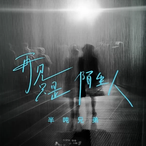 再见只是陌生人