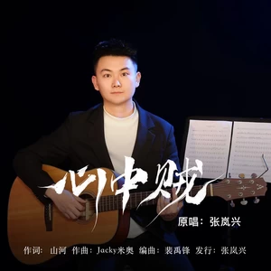 心中贼