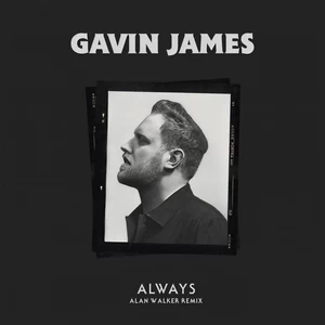 Always(Alan Walker Remix)