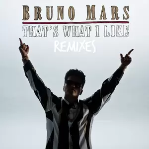 That’s What I Like (Alan Walker Remix)