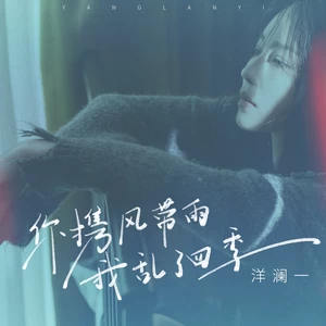 你携风带雨我乱了四季(DJ九零版)