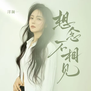 想念不相见(律动版)