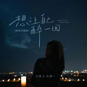 想让自己醉一回(国粤对唱版)