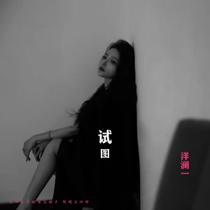 试图（DJ版）(伴奏)