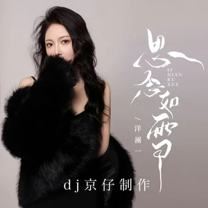 思念如雪（DJ京仔版）(伴奏)