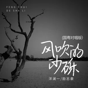 风吹的沙砾(国粤对唱版伴奏)