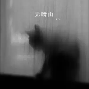 无晴雨