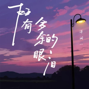 谁 有多余的眼泪（DJ锋仔版）