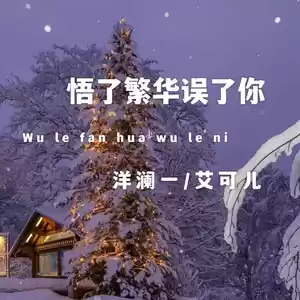悟了繁华悟了你