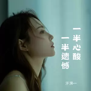 一半心酸 一半遗憾(对唱版)