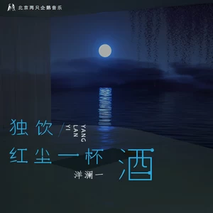 独饮红尘一杯酒