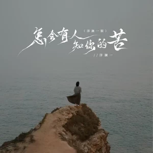 怎会有人知你的苦(洋澜一版)