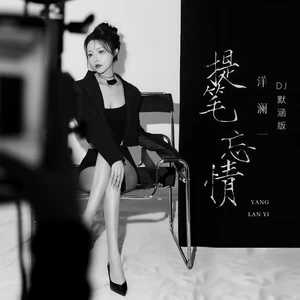 提笔忘情(DJ默涵版)