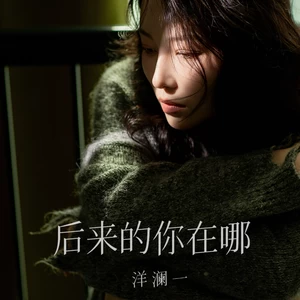 后来的你在哪·2024(DJ版)