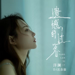 遗憾的过客(DJ沈念版伴奏)