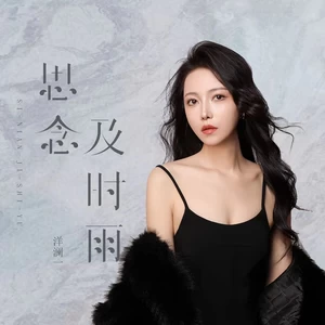 思念及时雨（DJ默涵版）(其他)