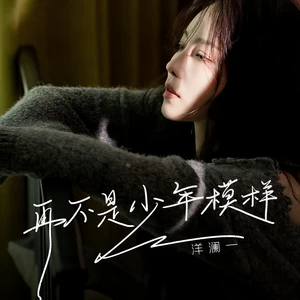 再不是少年模样(DJ九零版伴奏)