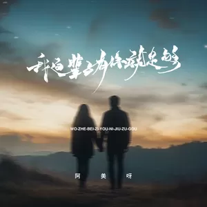 我这辈子有你就足够