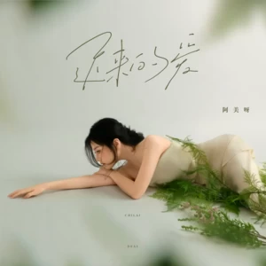 迟来的爱(伴奏)