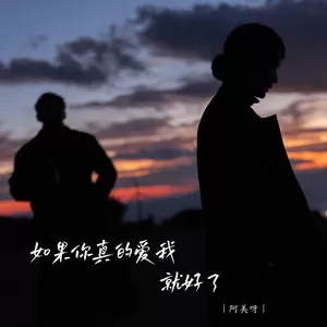 如果你真的爱我就好了
