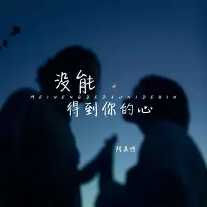 没能得到你的心(伴奏)
