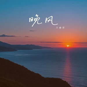 晚风(DJ默涵版)