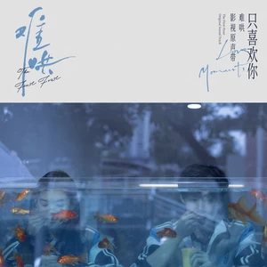 除了你之外我没喜欢过别人