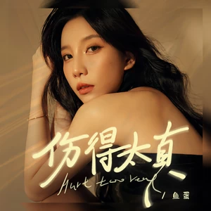 伤得太真(和声伴奏)