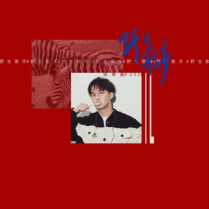 interlude：中场