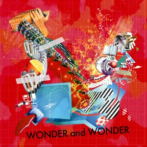 Senseless Wonder
