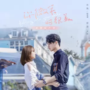 追随光